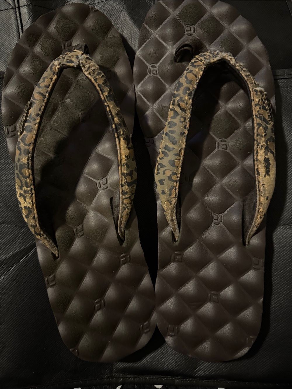 Leopard Print Strap Brown Quilted Flip Flops